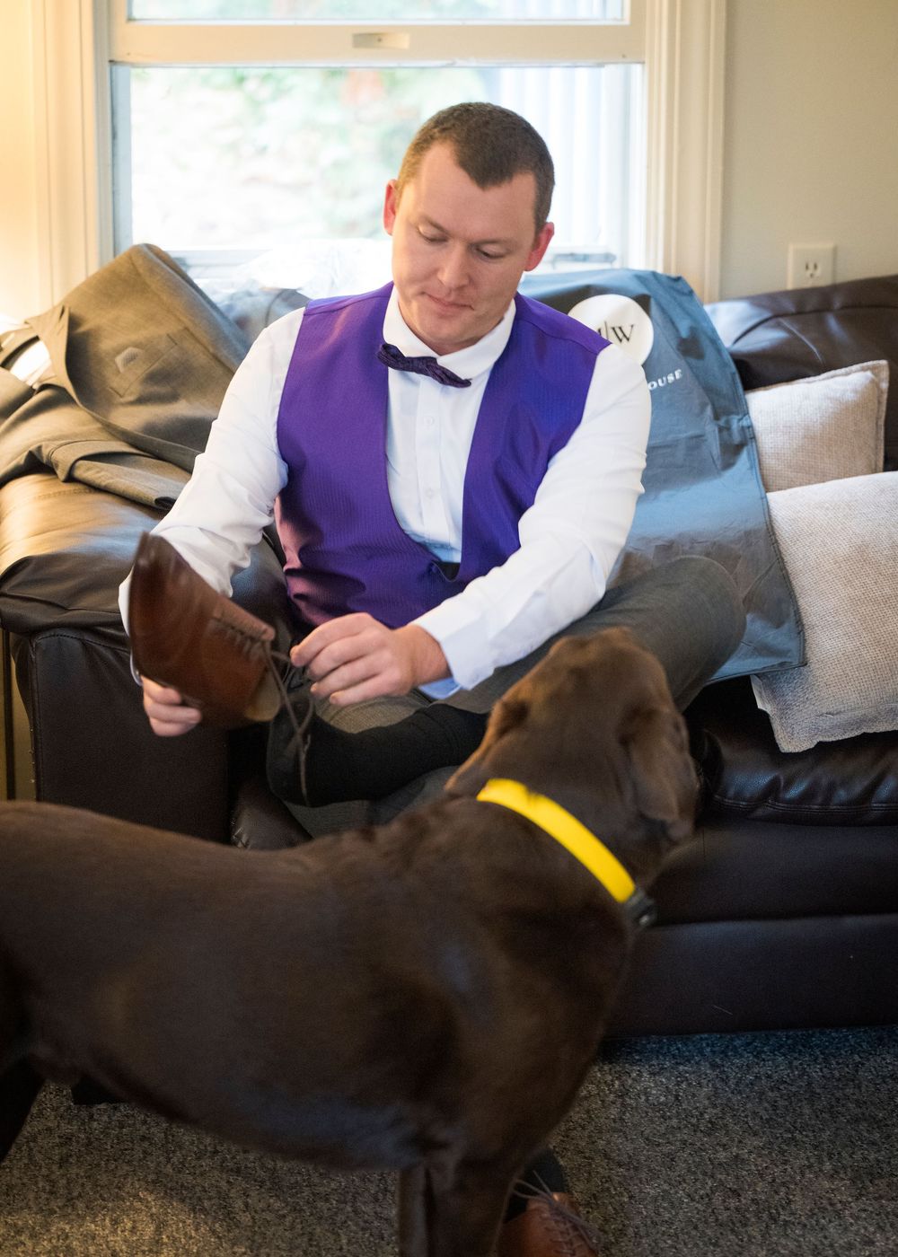 A chocolate labrador wearing a yellow collar sits next to someone in formal attire on a leather couch.