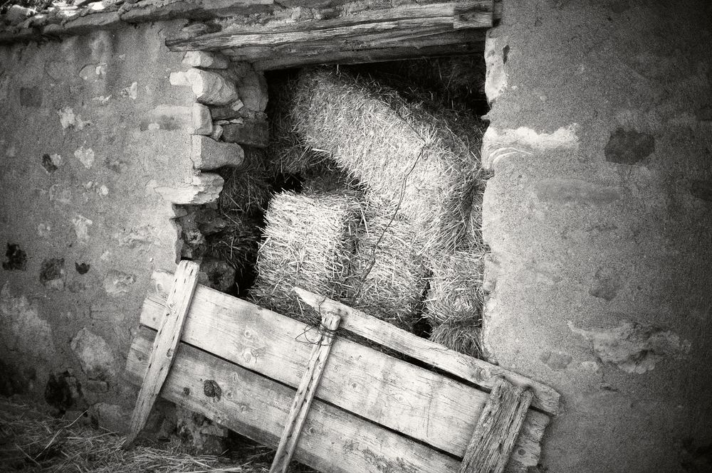 Vintage black and white photo showing deteriorating concrete walls with peeling paint and exposed metal surfaces.