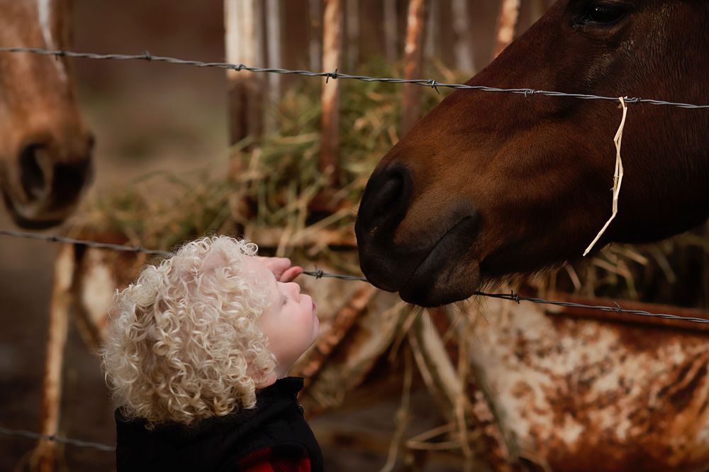 A horse gently nuzzles a little boy through a wooden fence in an outdoor setting.