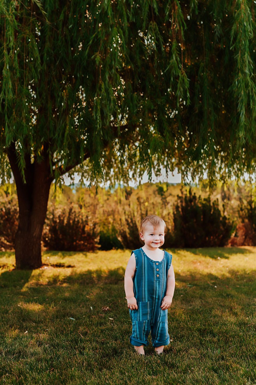 A small child stands smiling under a weeping willow tree on a grassy lawn during golden hour.