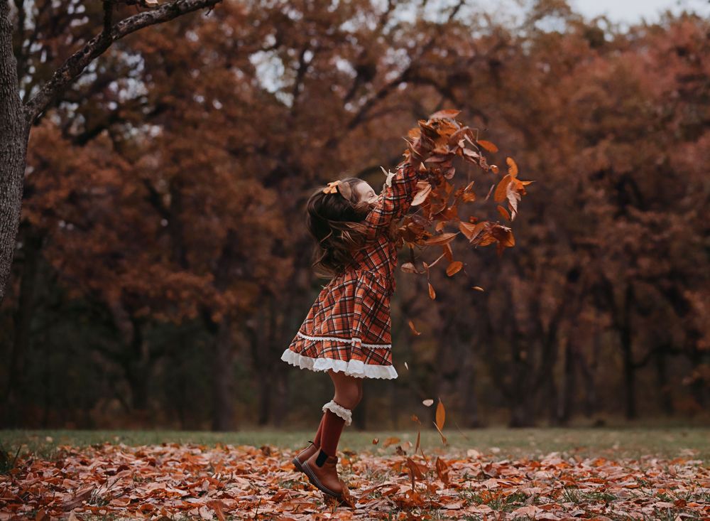 A series of autumn leaves falling in slow motion against a blurred forest background with warm orange tones.