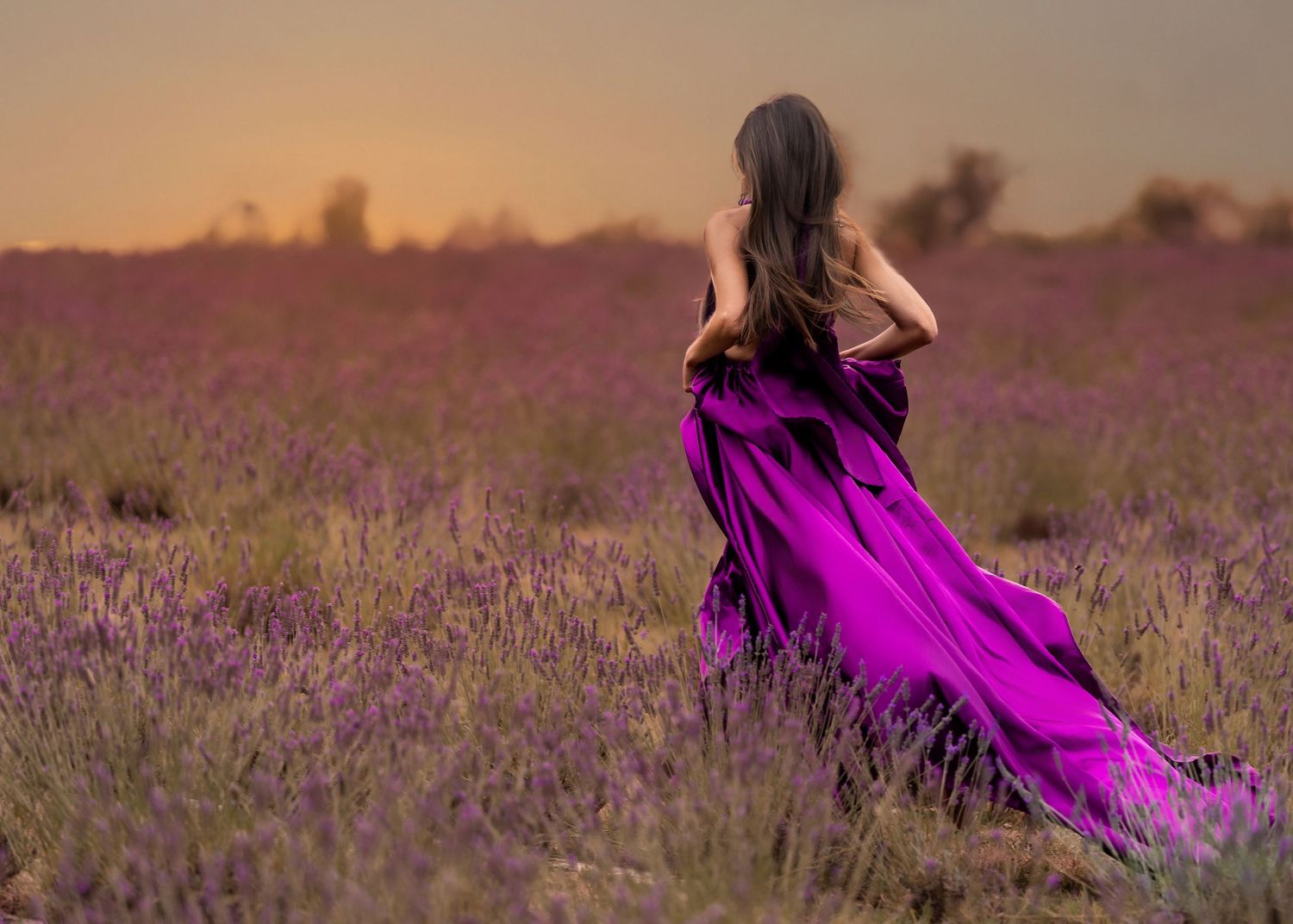 A person in a flowing purple dress walks through a vibrant lavender field at sunset.
