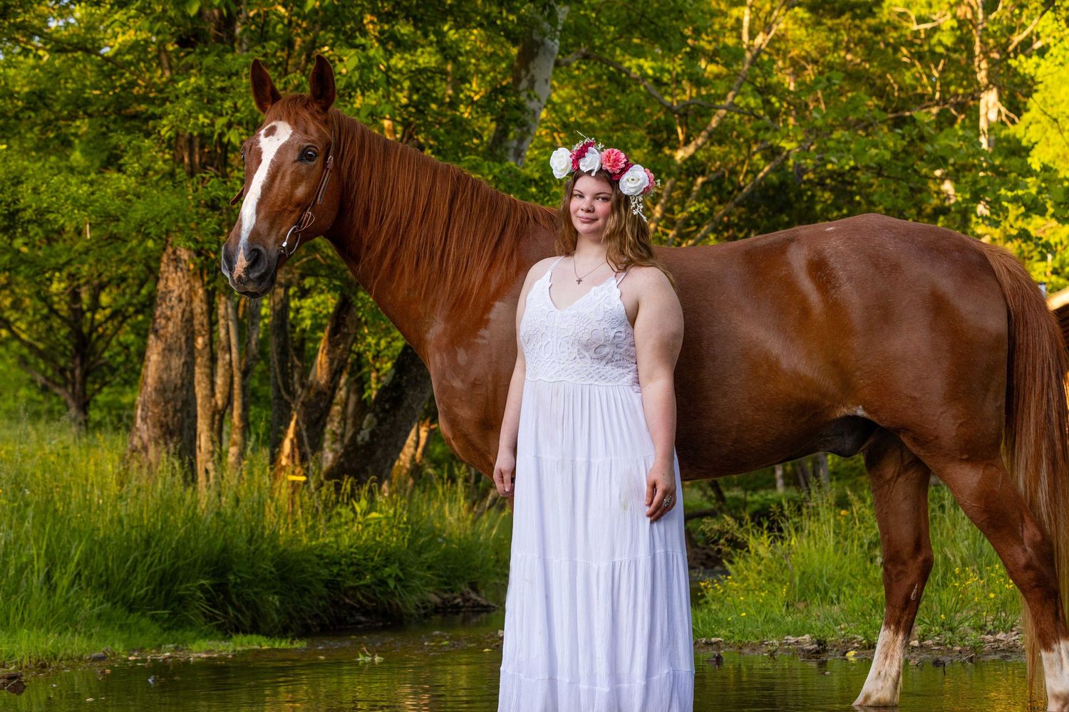 A serene portrait by a pond featuring a chestnut horse and someone in a white dress at sunset.