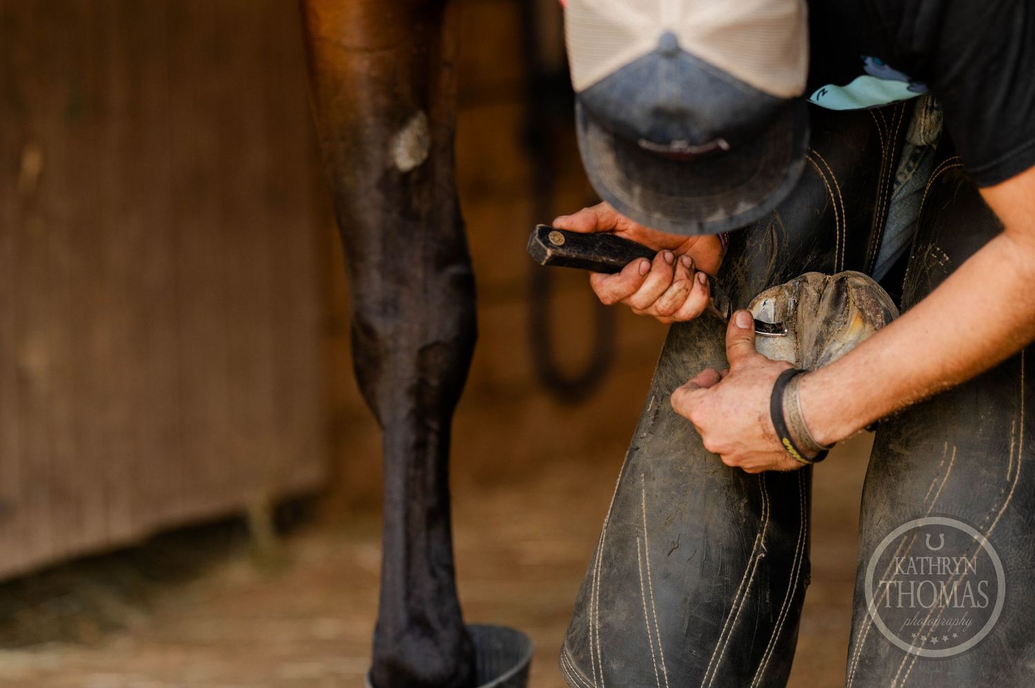 Closeup of hands handling farrier tools with horse legs visible in the background.