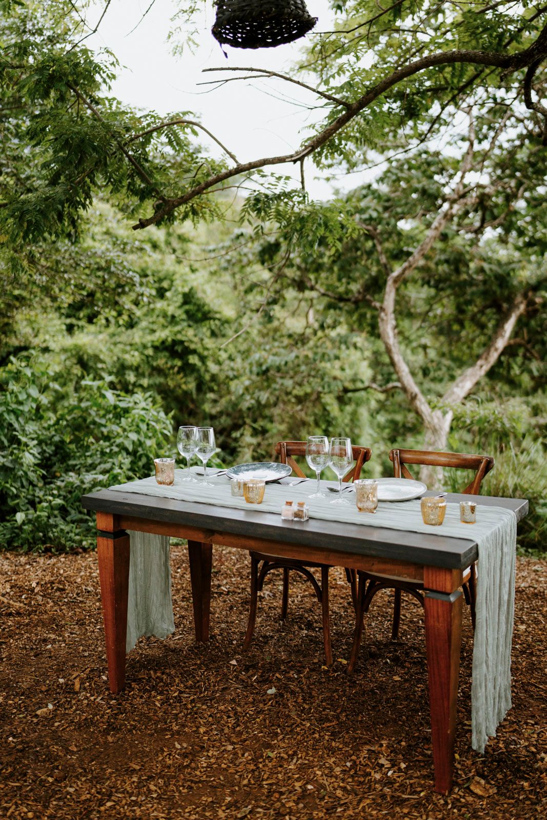 Long wooden dining table set up outdoors under trees with gray table runner.