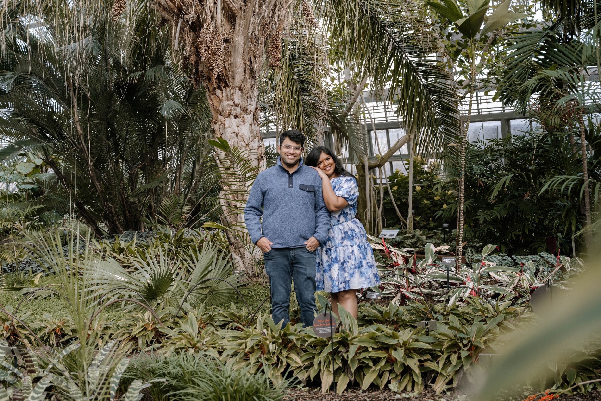 A couple stands together amongst tropical plants and trees in a lush greenhouse garden setting.