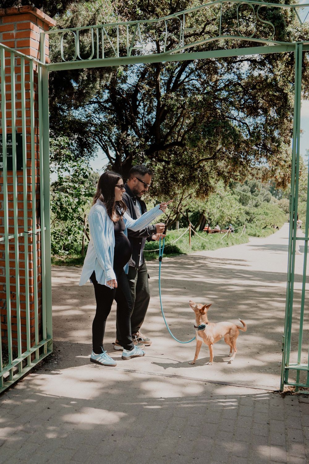 A couple stands in front of a metal gate entrance with their small brown dog on a sunny day.