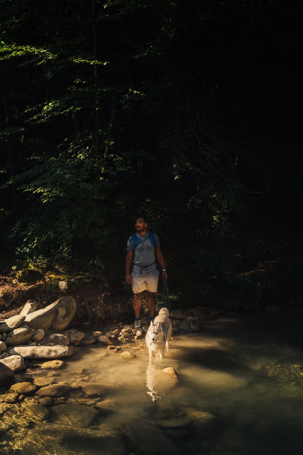 balade proche de la rivière de la Leysse avec un chien au bout du monde à Chambéry