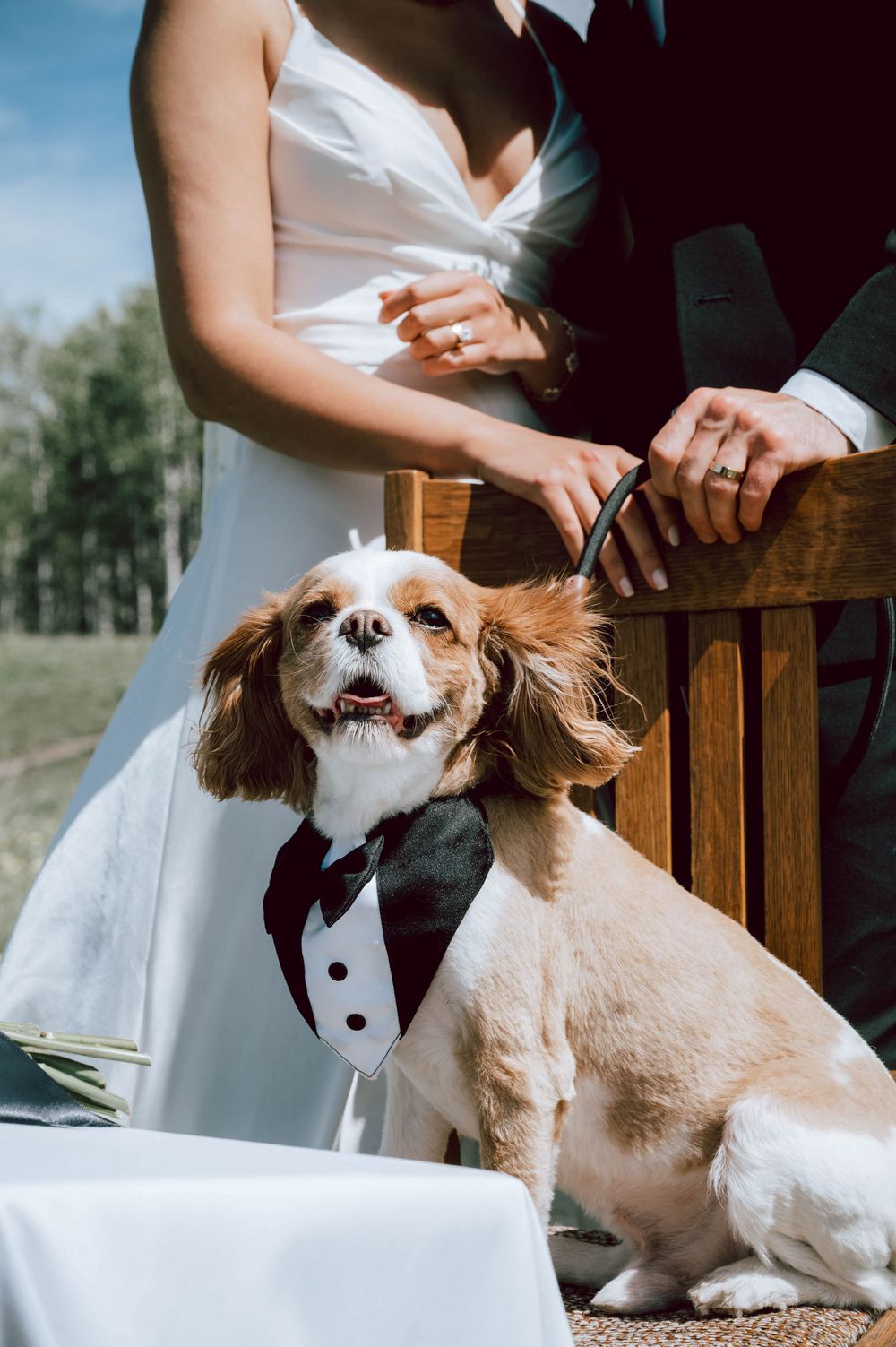 Elopement Photography - Couples Intimates in Kananaskis Country, Alberta.