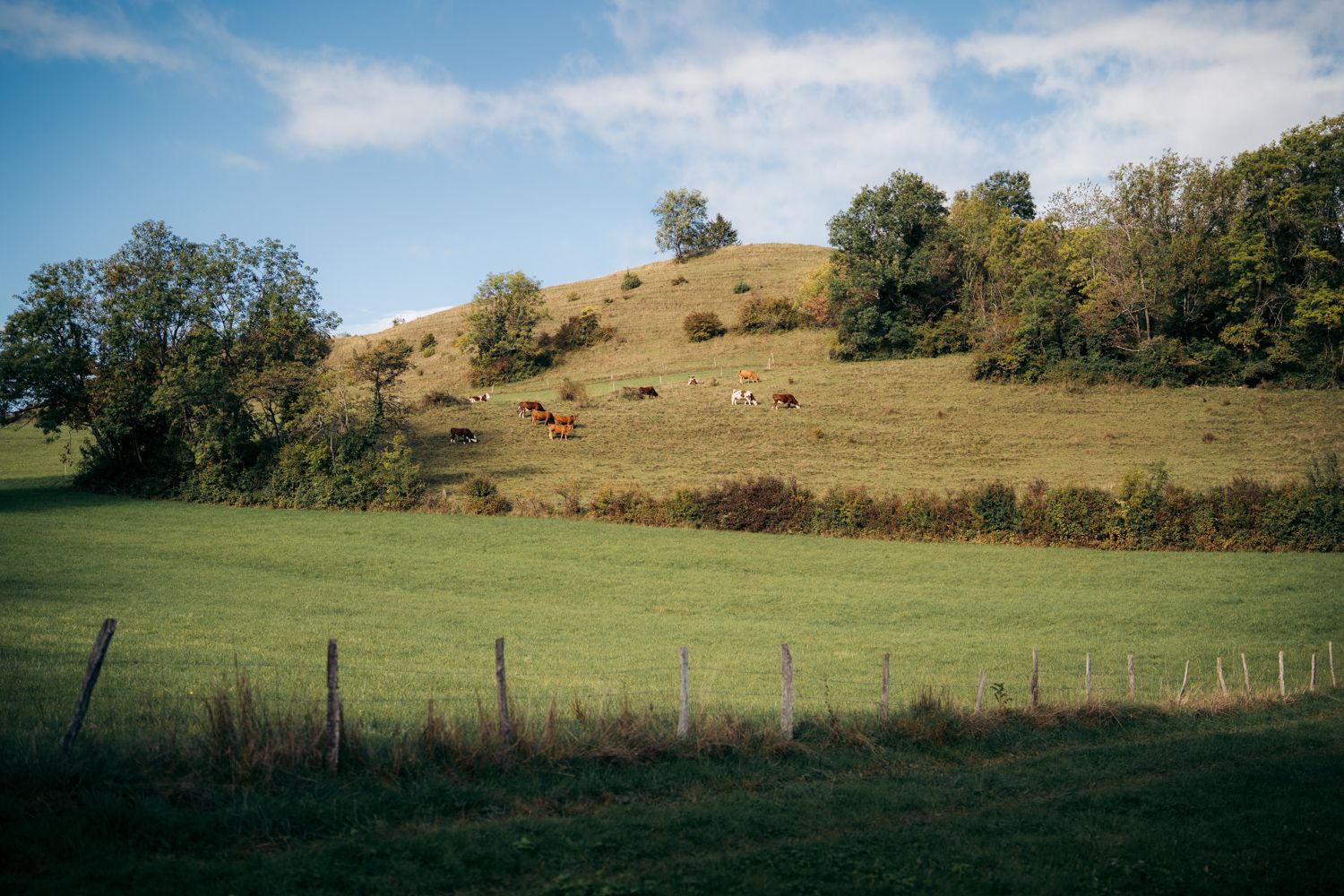 Champ à Curienne sur le sentier des planètes