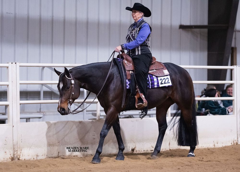 Western rider in black cowboy hat and purple shirt guides dark horse during competition in indoor arena.
