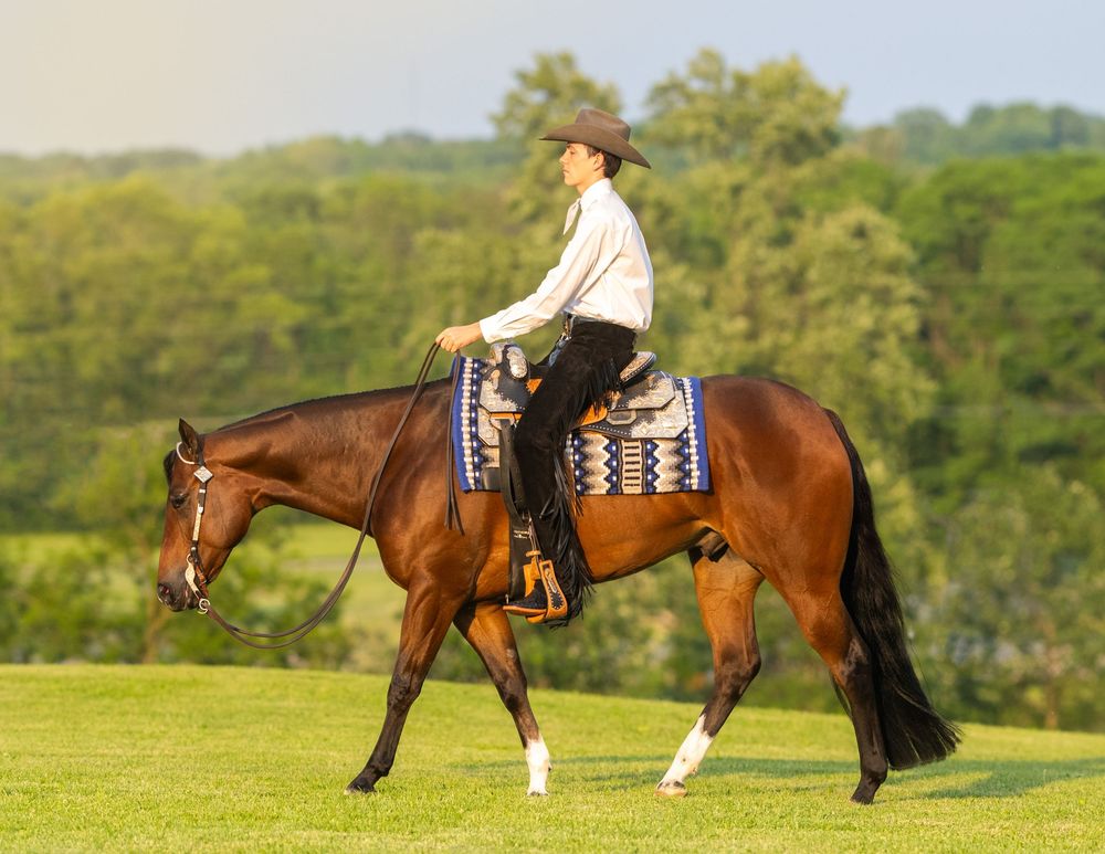 Horse training sequence showing dressage movements in an open field.