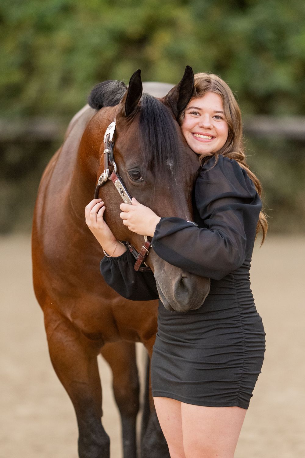 Series showing affectionate moments between a horse and someone wearing black in a field.