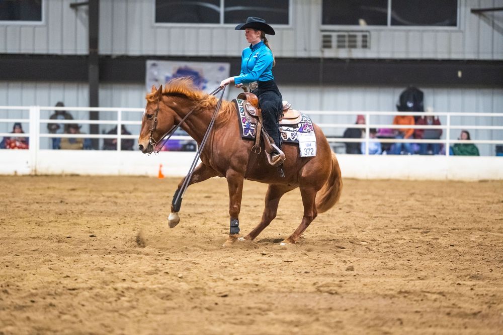 A rider in blue performs a western riding maneuver on a chestnut horse in a sandy arena.