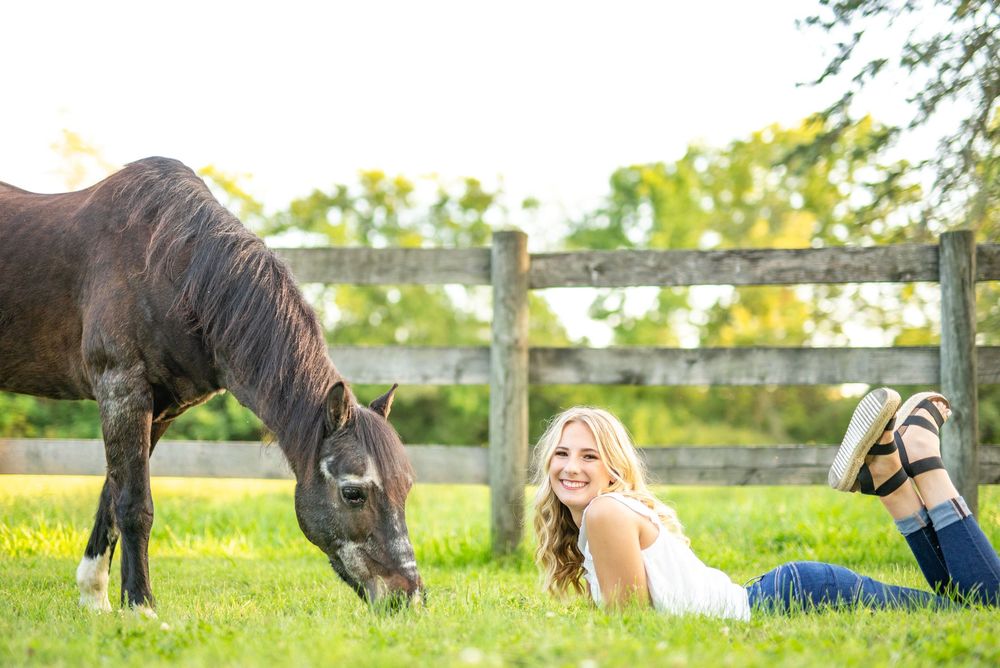 Horses grazing in green pasture with white fence and trees in background.