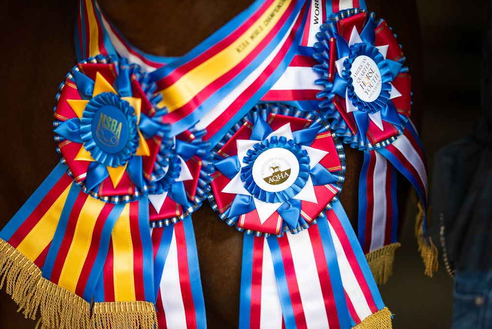 Colorful red, white and blue championship show ribbons with rosettes displayed in a row.