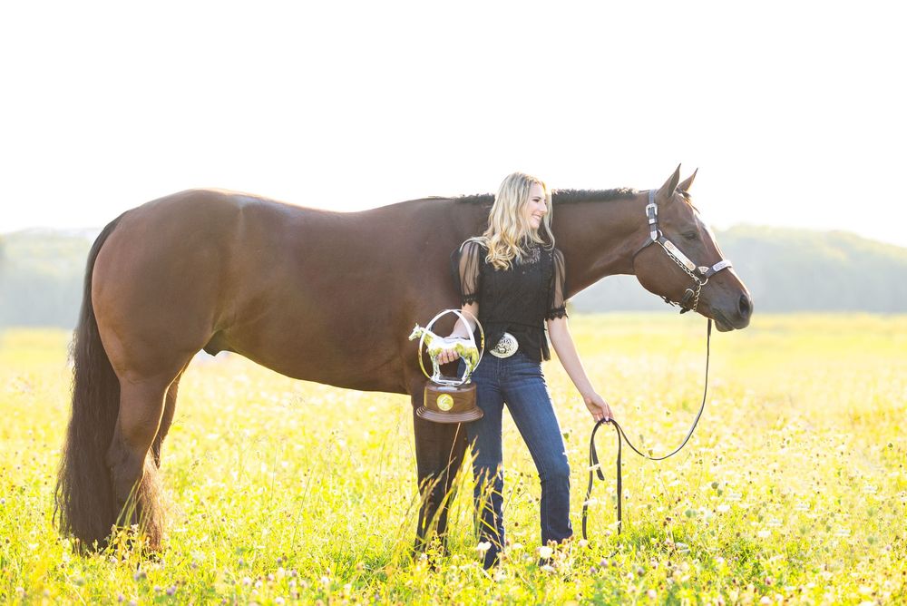 Group of horses standing in golden field during sunset with handlers.