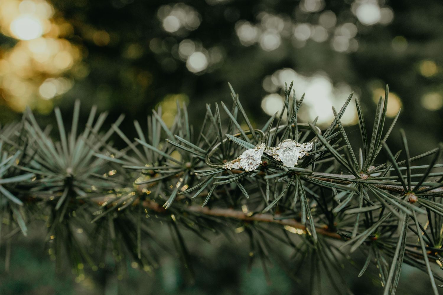 engagement session in Maymont Park in Richmond Virginia