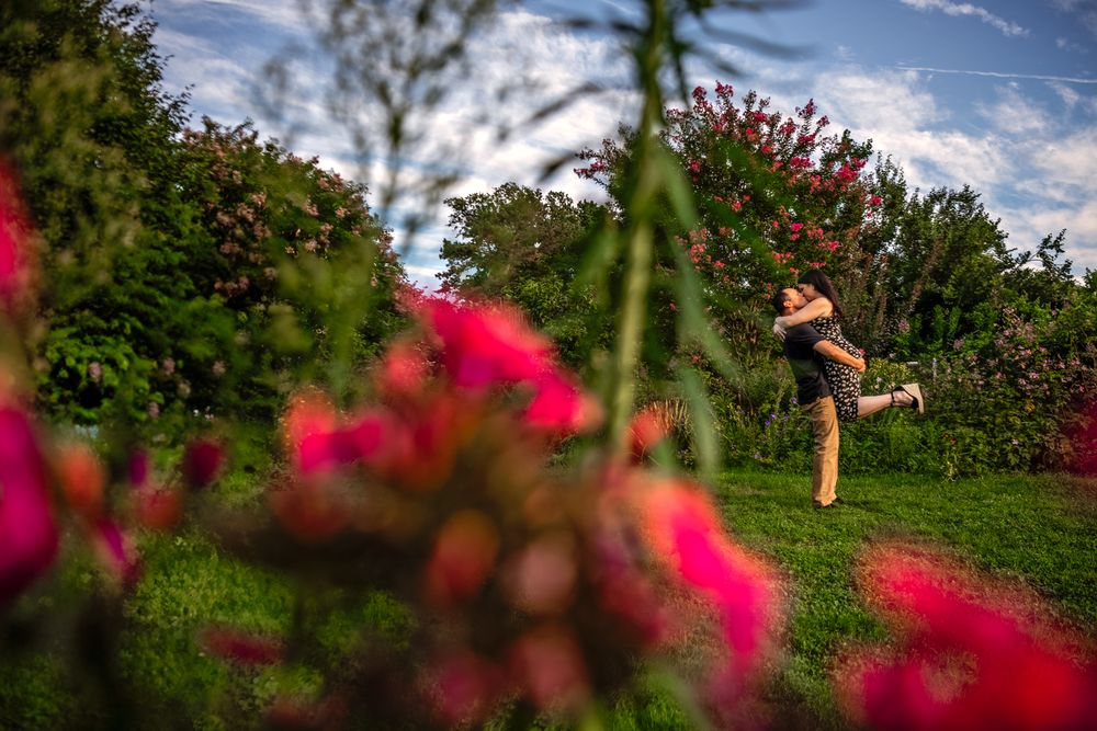 Vibrant pink flowers bloom in a lush garden landscape against a blue summer sky.