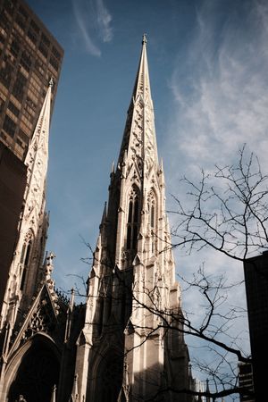 Gothic cathedral spires reaching into blue sky with bare tree branches.