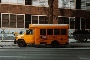 Yellow school buses parked on a city street with buildings in the background.
