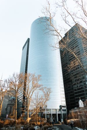 Modern glass skyscrapers with reflective surfaces stand tall against bare winter trees.