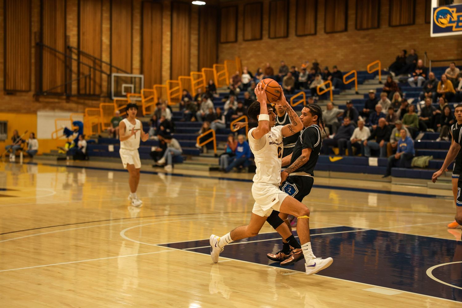 Basketball players compete in an indoor gymnasium with blue bleachers and banners visible in the background.