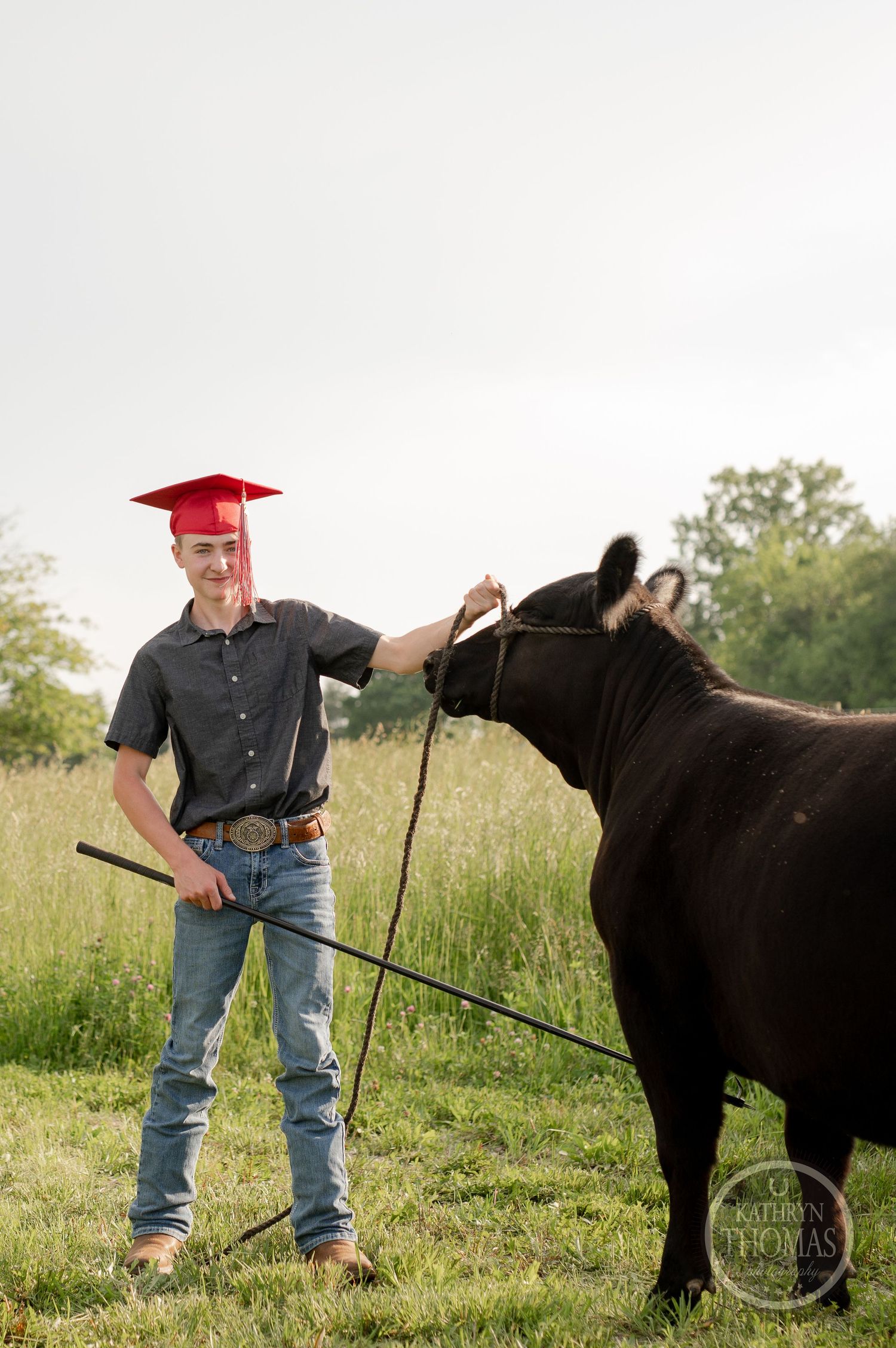Graduate in red cap pets black cow while standing in summer field.