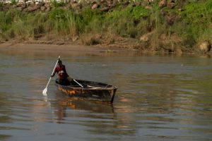 Small wooden boat navigating through a river surrounded by lush green vegetation.