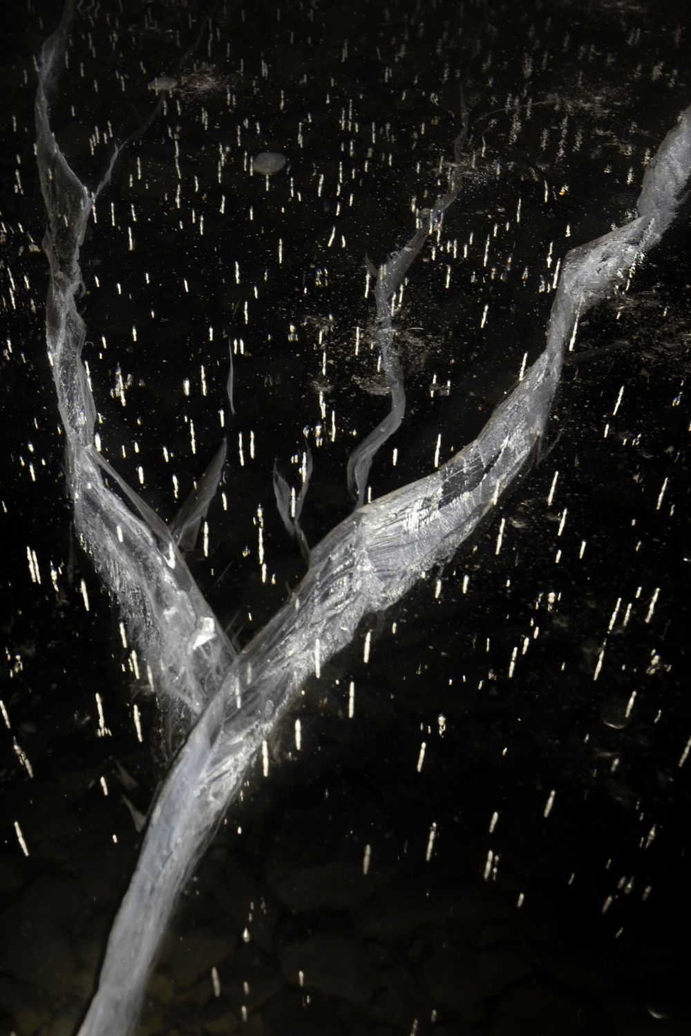 Ice pattern abstract