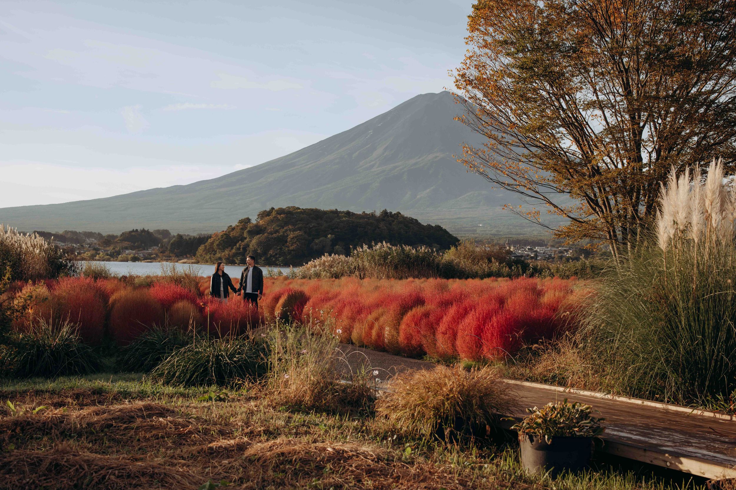 Mt. Fuji towers over a scenic Japanese landscape with vibrant red kochia bushes and autumn trees at sunset.
