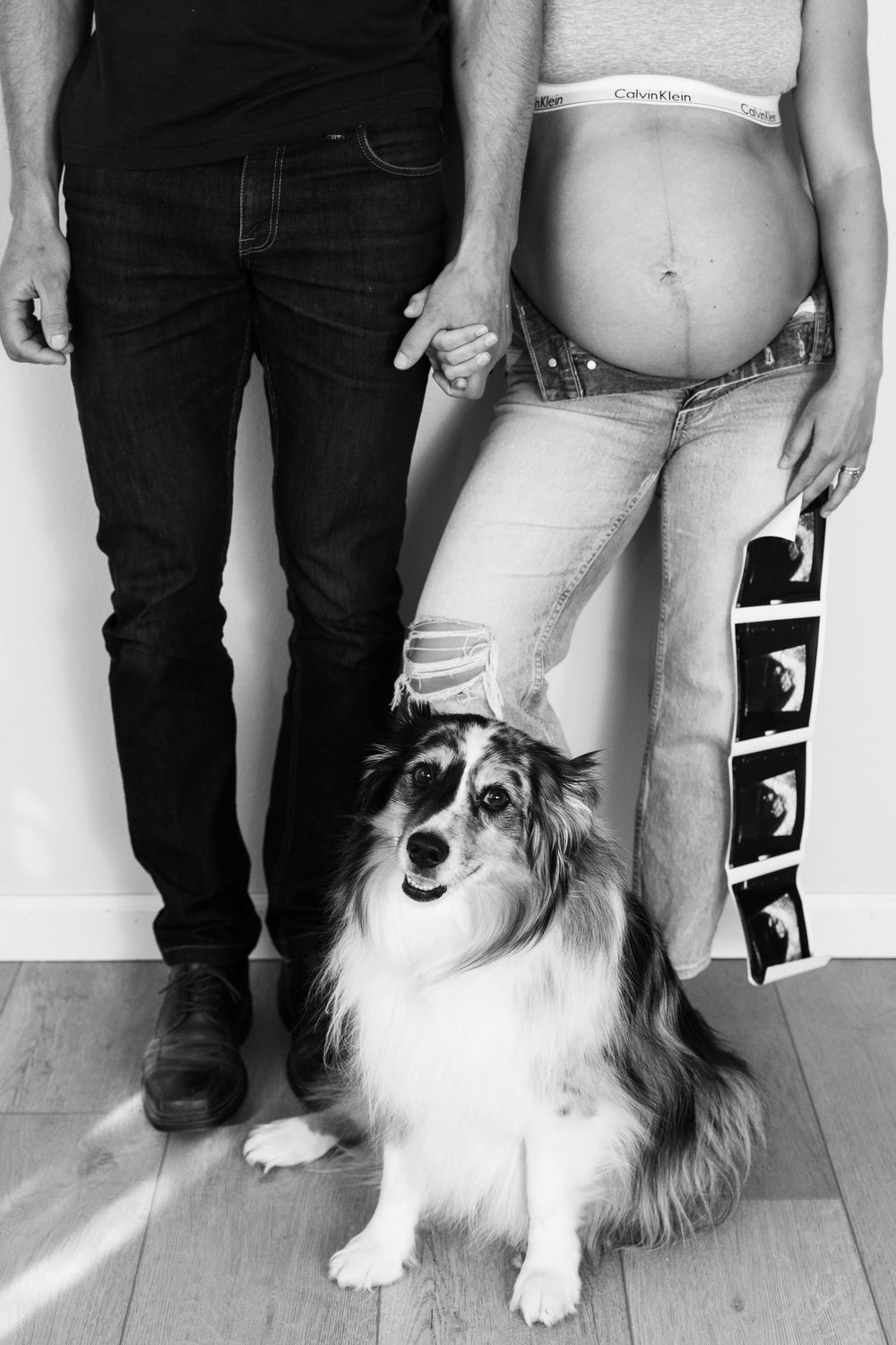 Black and white maternity photo of pregnant couple holding hands with Sheltie dog and ultrasound photos.