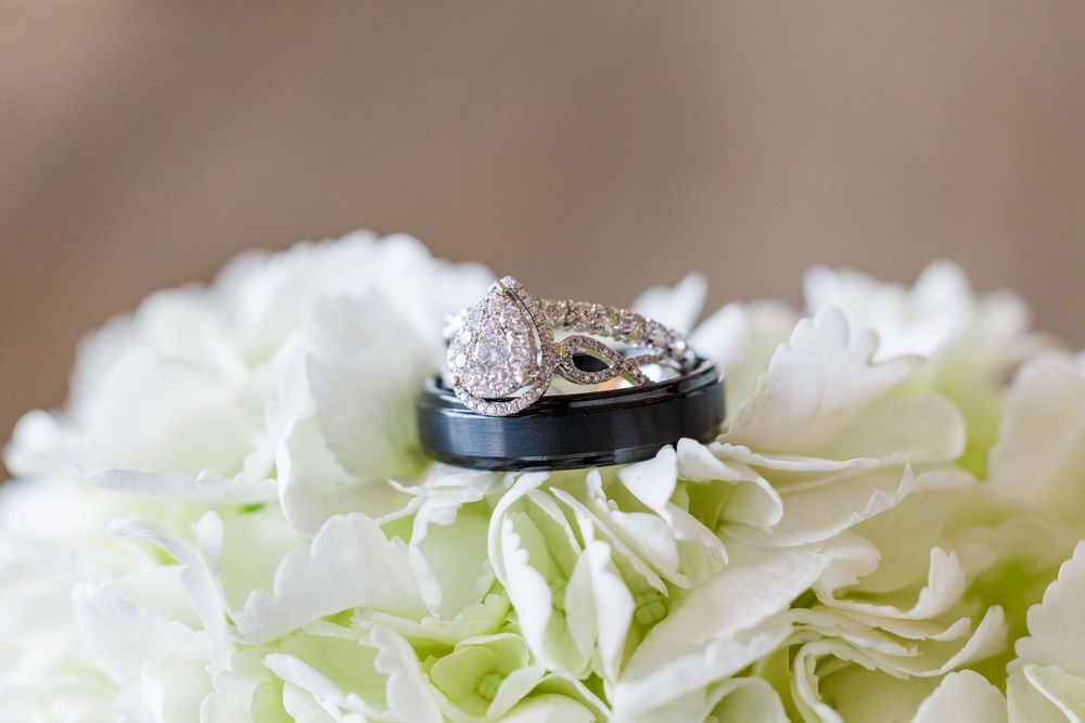 Wedding rings displayed on white rose petals in elegant macro photography.