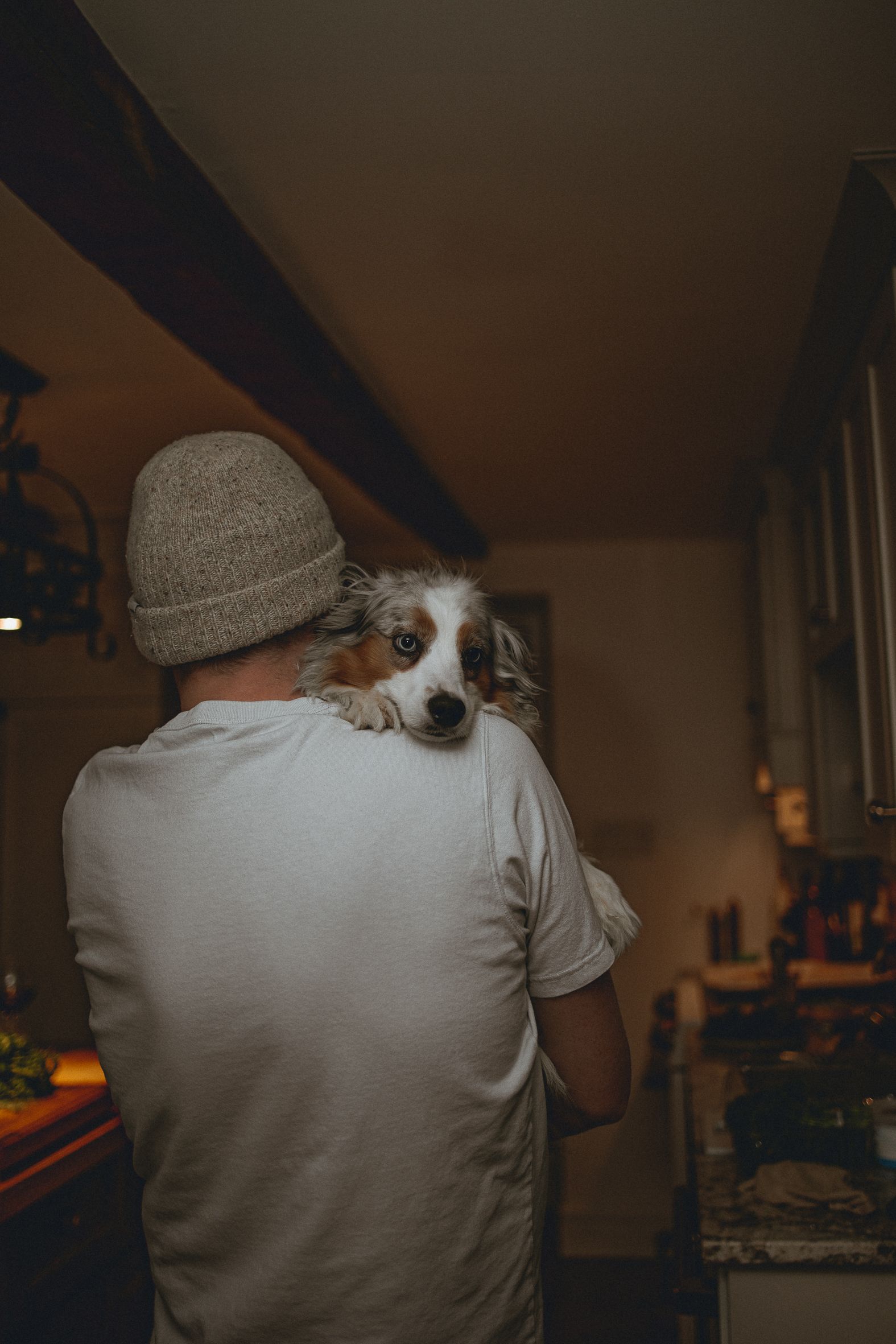 Australian shepherd dog peeks over person's shoulder wearing gray beanie in kitchen.