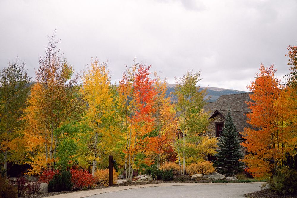 Vibrant autumn trees with red, orange and yellow foliage line a mountain road under cloudy skies.