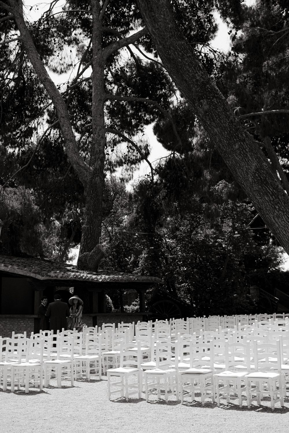 White ceremony chairs arranged under tall trees in a garden setting.