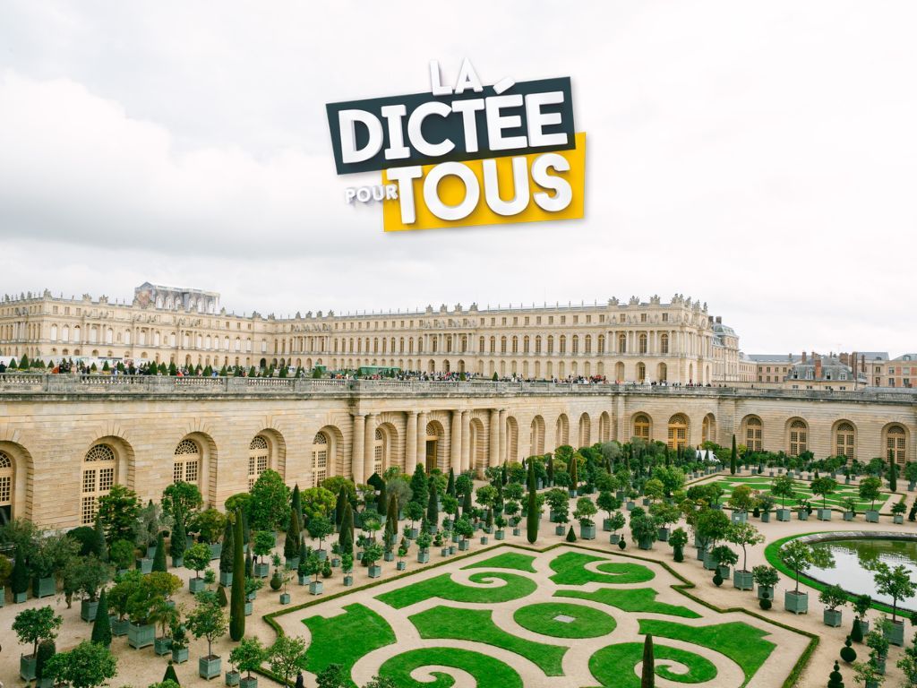 Aerial view of the ornate Palace of Versailles gardens featuring geometric patterns and manicured hedges in France.