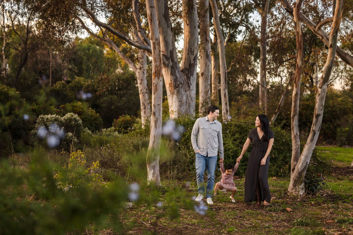 Three people walking together through a scenic eucalyptus grove with golden afternoon sunlight filtering through the trees.