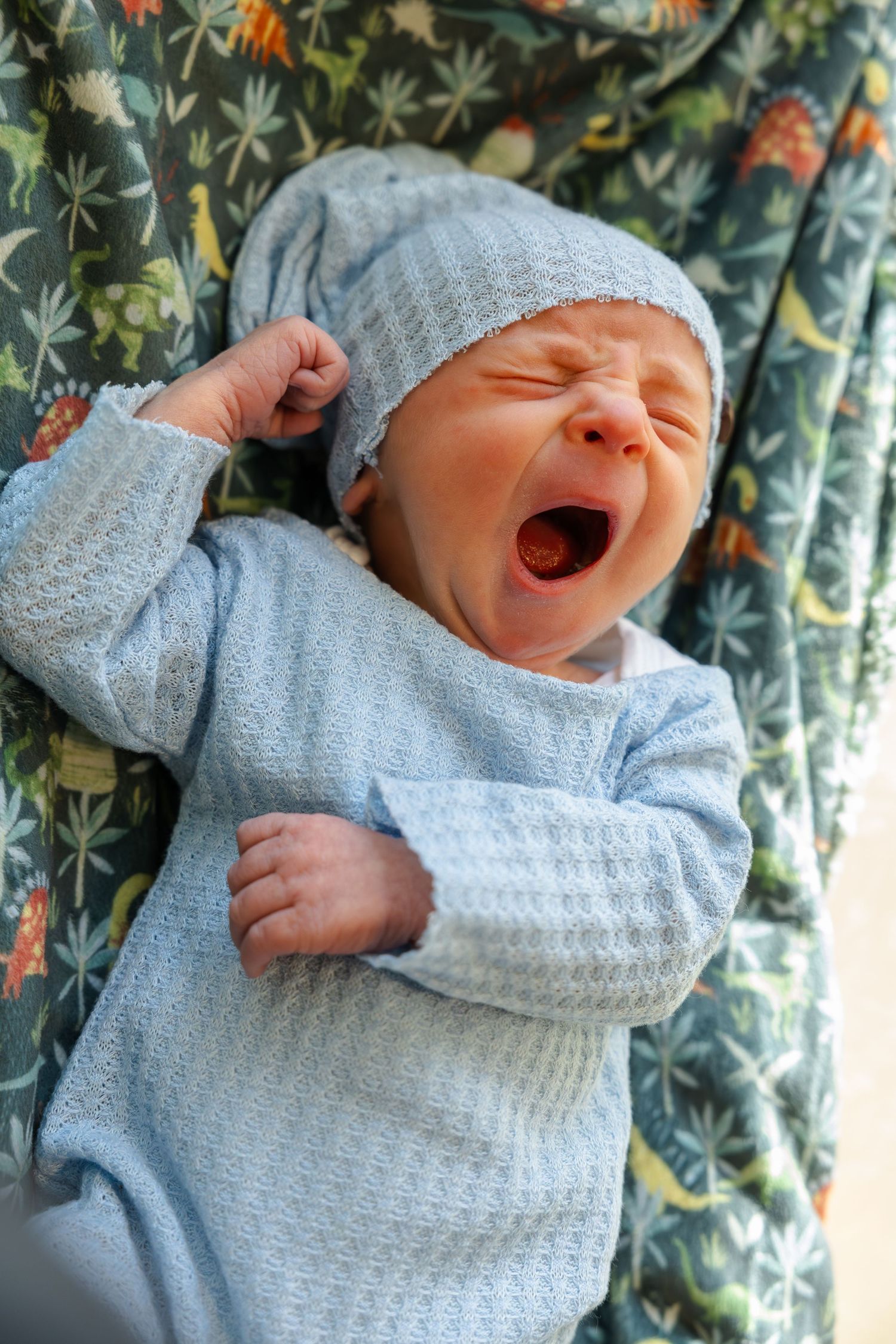 Newborn, Newborn Photography, Newborn Photographer, Newborn Photoshoot, Maine, Millinocket,
