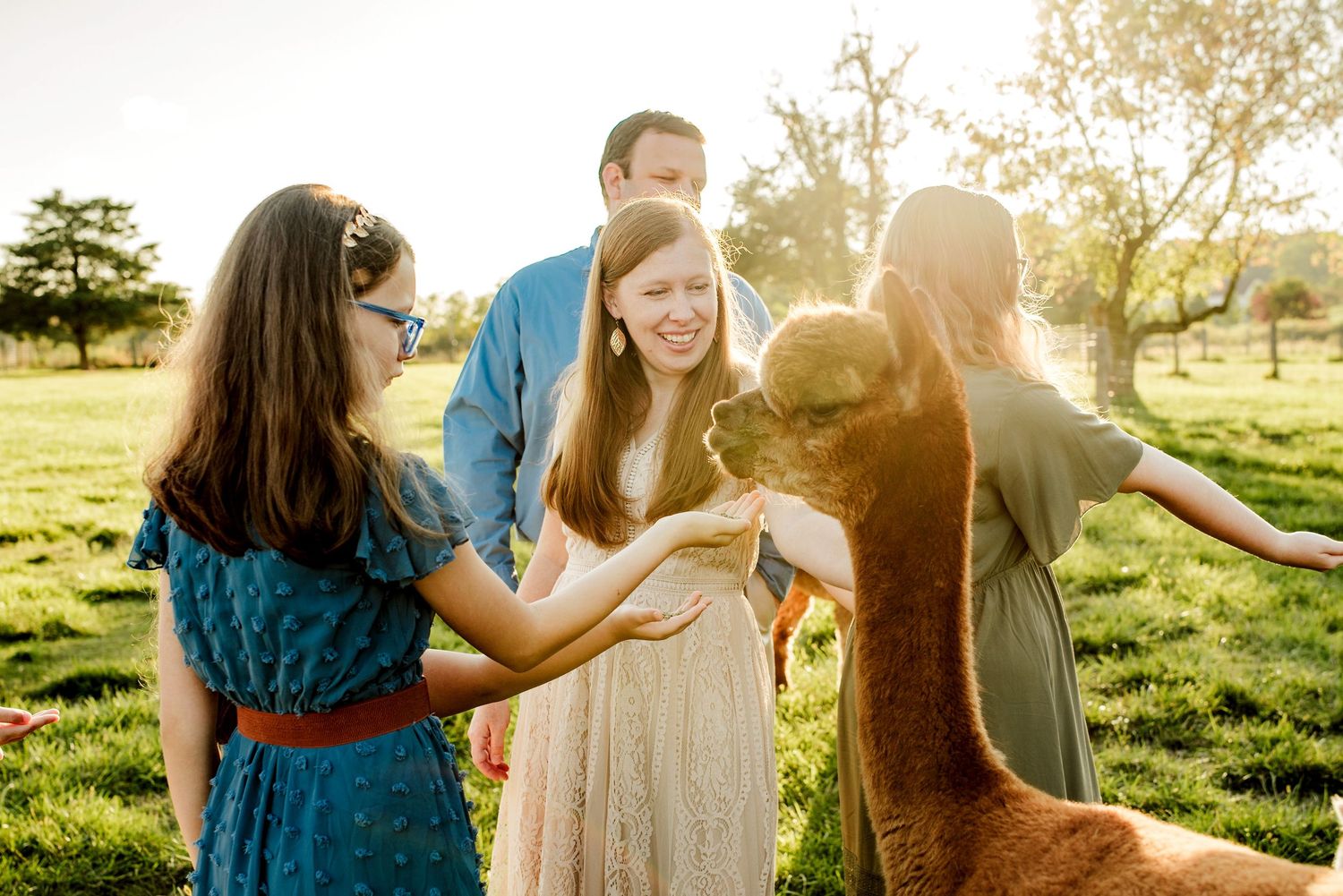 People enjoying a warm sunset moment in a pastoral farm setting.