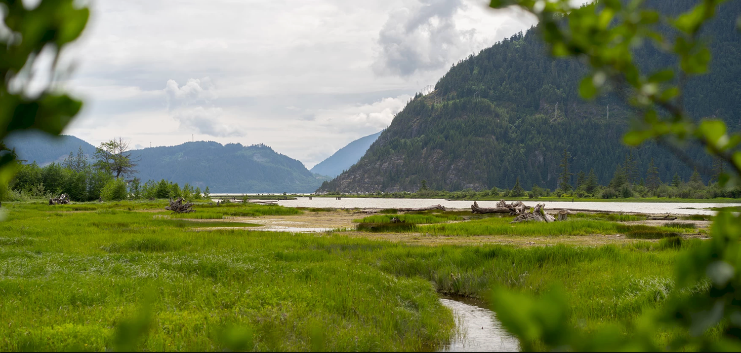 wide green space along Squamish River with mountains rising beyond