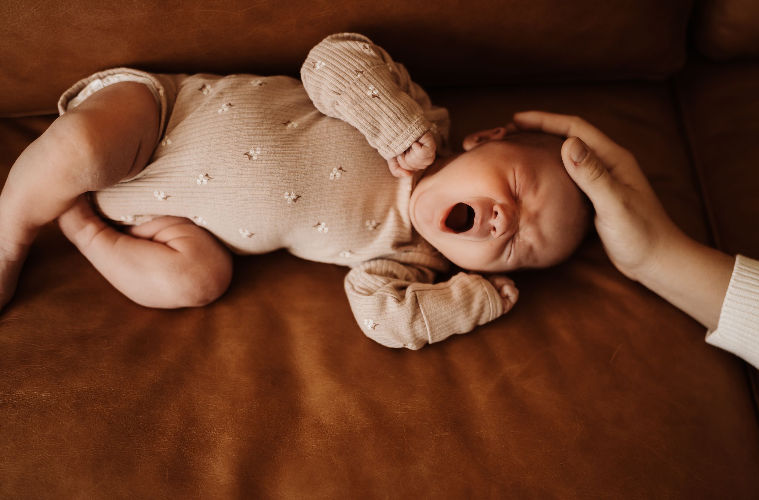 A series of intimate newborn photography portraits with soft lighting and warm brown tones.