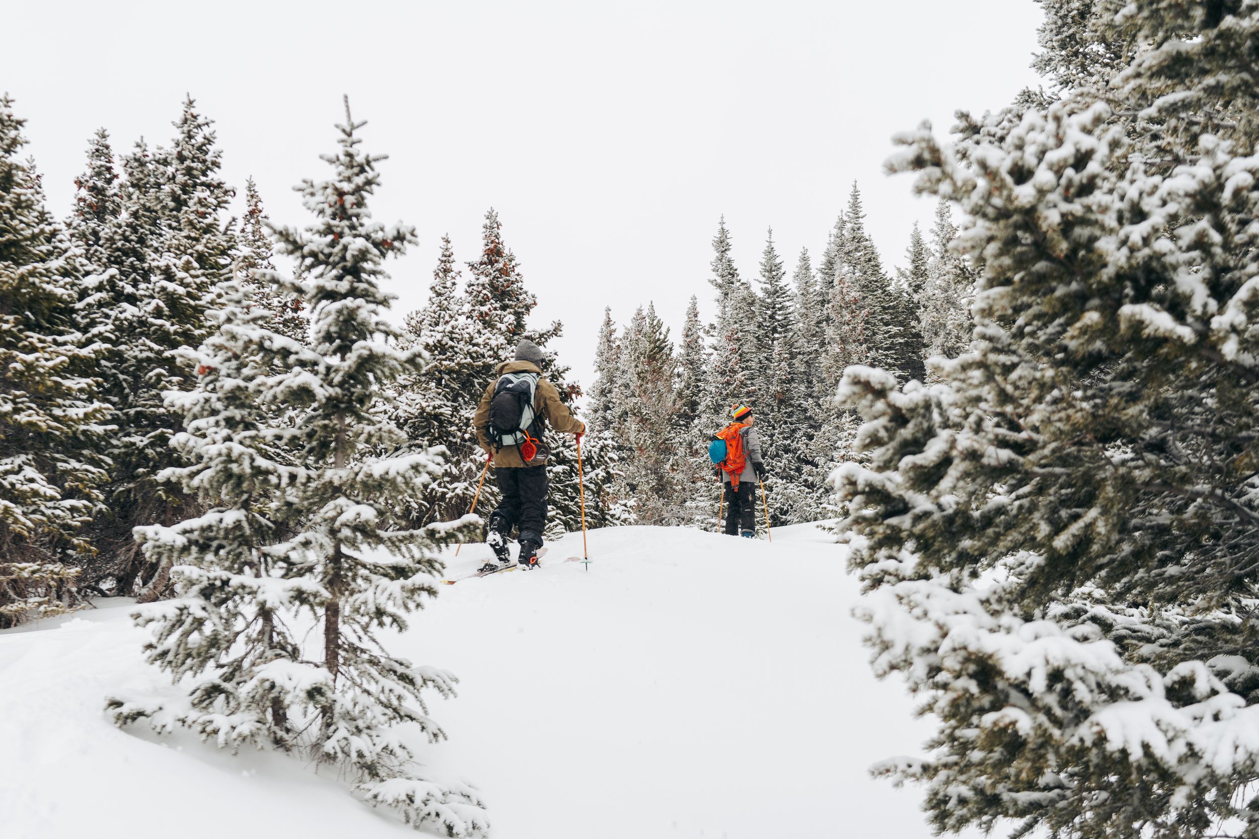 Two people hiking through a snowy forest trail surrounded by snow-covered evergreen trees in winter.