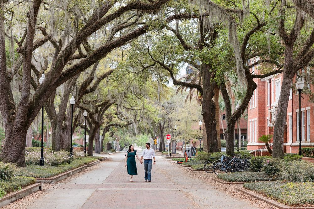 Tree-lined pathway with hanging Spanish moss creating a natural tunnel effect.