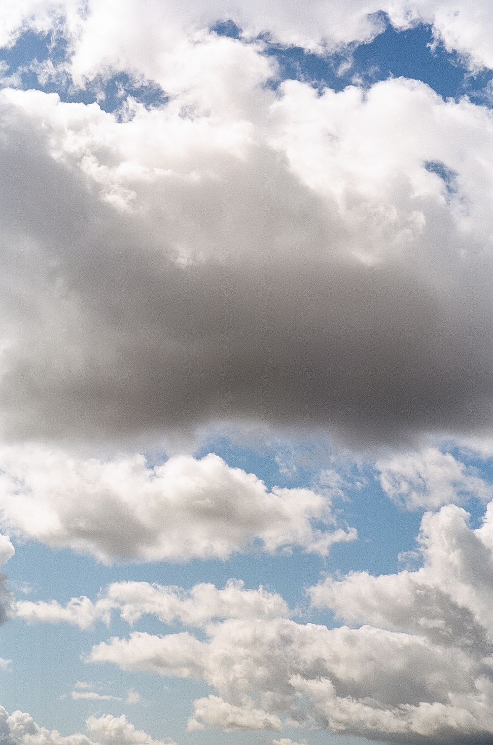 Fluffy white cumulus clouds drift across a bright blue summer sky creating a dramatic cloudscape.
