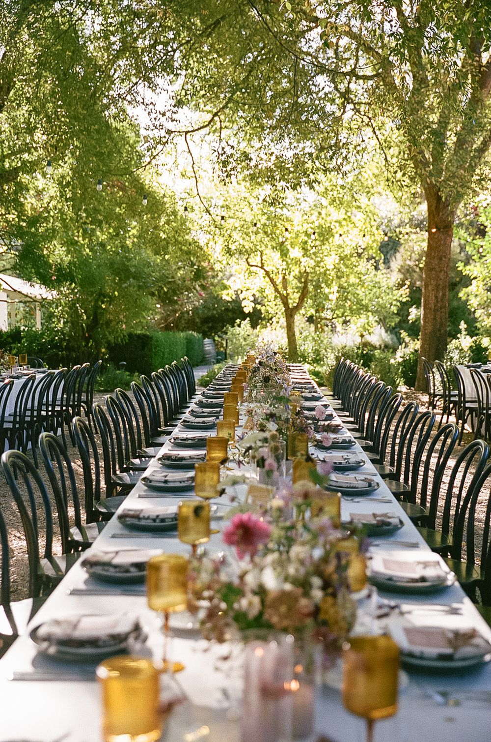Long outdoor wedding reception table set with place settings and floral centerpieces under a canopy of trees.