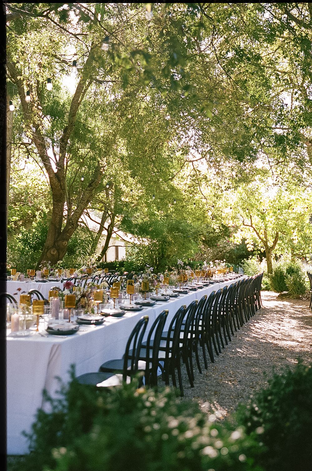 Panoramic view of a long white dining table with black chairs set up under trees for an outdoor event.