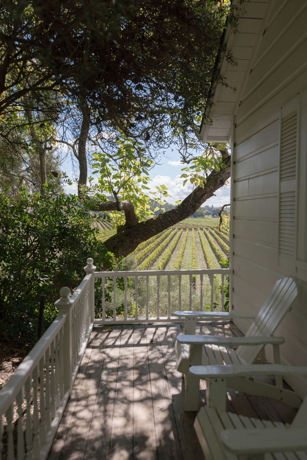 White rocking chairs line a sunny wraparound porch overlooking vineyard rows in the distance.