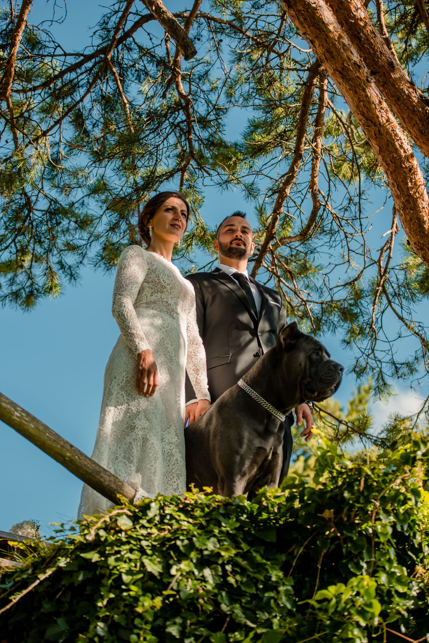 A bride in white lace and groom in black suit pose beneath pine tree branches against blue sky.