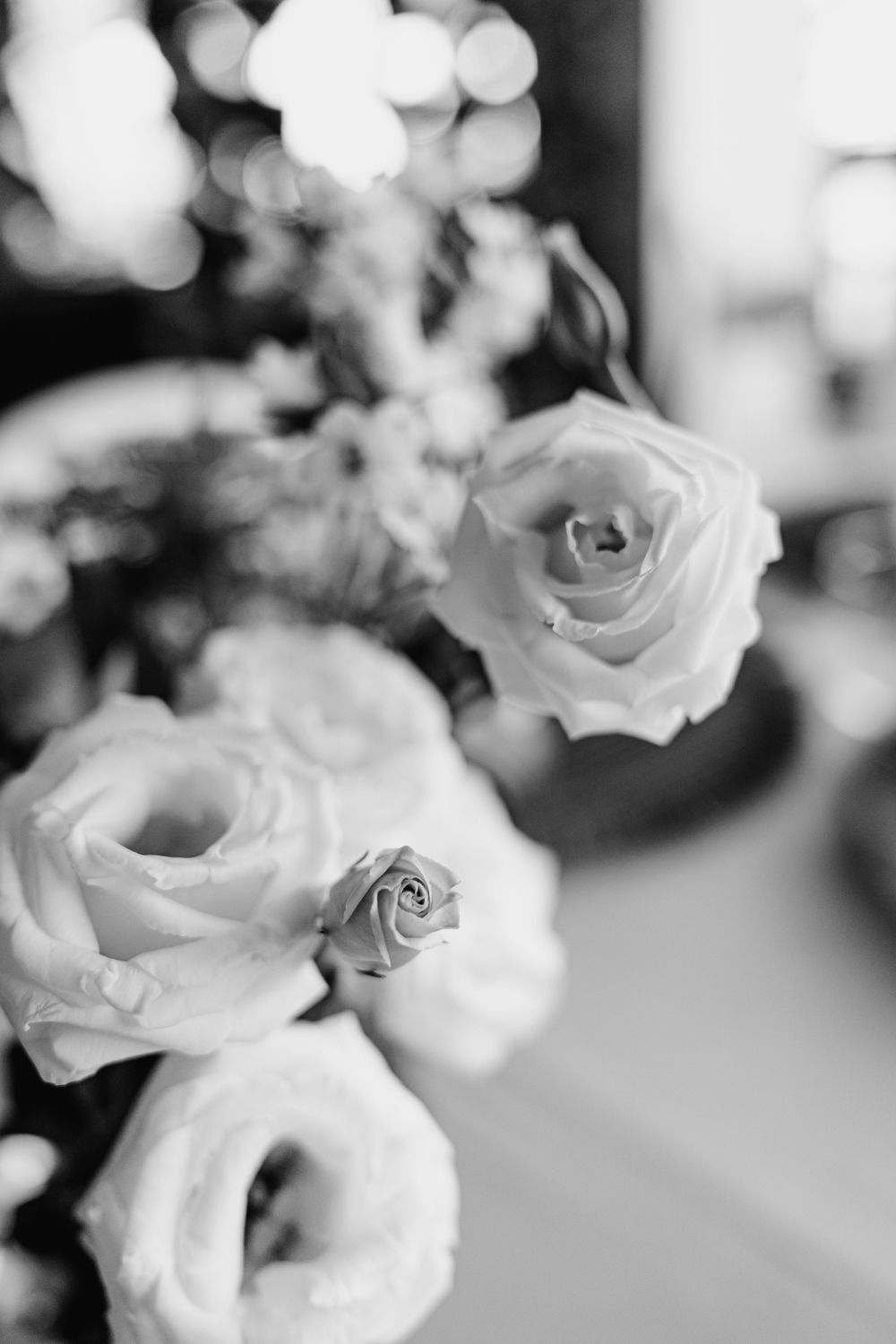 Soft black and white macro photograph of delicate white roses with blurred bokeh background.